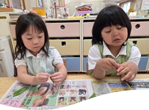 写真